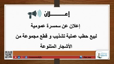 صورة إعلان عن سمسرة عمومية لبيع حطب عملية تشذيب و قطع مجموعة من الأشجار المتنوعة
