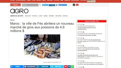 صورة Maroc : la ville de Fès abritera un nouveau marché de gros aux poissons de 4,6 millions $